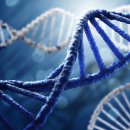 한미바이오 이미지