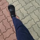 한사랑목장 | [강원도/대관령]삼양라운드힐 대관령 양떼목장