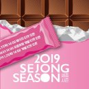 세종패키지
