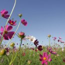 문수사 승강장 이미지