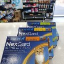 기장동물약국 이미지