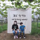 엄마사랑농원 이미지