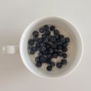 푸줏간 진천점 | 차량 정기점검,만리성 중국집,배홍동 칼빔면,혼자 보낸 불토,푸줏간 고기도시락,지겨운 입사지원 지옥)