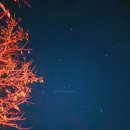 개울옆 펜션 이미지