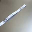 종로-신영-종로-영-345 | 5월 上