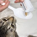 다움환경 | 반려다움 고양이 헤어볼케어 후기, 농심 반려다움 헤어볼 영양제 직접 급여해봤어요