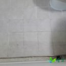 에코케어(eco-care) 이미지
