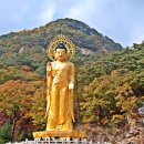 속리산 법주사 이미지