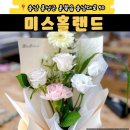 미스홀랜드 | 내포 꽃집 미스홀랜드, 당일 꽃다발도 가능한 곳 추천
