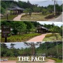 밤티재길 이미지