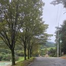 옥성자연휴양림 | 구미 옥성자연휴양림 우정의 집 솔직 후기