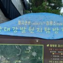 황지 이미지