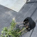 용달농장 이미지