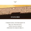 F6650 네이버블로그