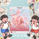 모두의 꽃배달 네이버블로그