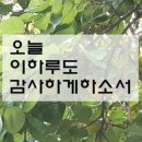 펌글 / 연말 시상식 이미지