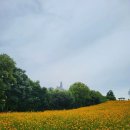 마루덴탈 이미지