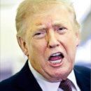 레드라인 이미지