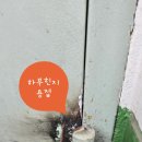 장미관문 이미지