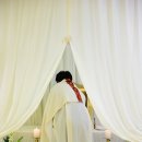 모심-2019 이미지