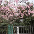 거성정비 | 20260428~3.1 일본 대마도(한국전망대,미우다해변,가네이시성)-1day