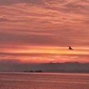 왕포리조텔 이미지