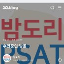 밤도리PSAT 이미지