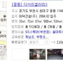 디아뜨1 B 이미지