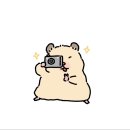 종로-종로-종로-종-212 | 꽃샘추위도 마무리 되는 3월(2)