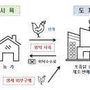 토종닭 신선육 가격ㆍ출고량 담합 등 제재 이미지