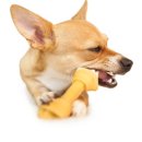 고등동물병원 이미지