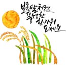 고산하늘초등학교 이미지