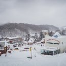 2/1(일)월정사 전나무숲길 설경과 이국적인 포토스팟 실버벨교회 이미지