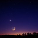 금성주단 이미지