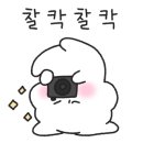뷰티드플로르 이미지