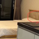 인더오조 | 제주도 성산 근처 전호실 오션뷰 인더오조 팬션 추천 후기