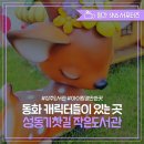 기찻길 작은도서관 이미지