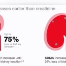 석수동물병원 이미지