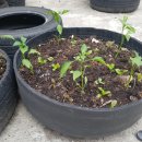 타이어마트경정비 이미지