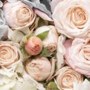 어르신 원예활동 이미지