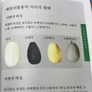 (마감)먹골참외(SD0281) 반송편지 나눔 이미지