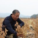 박씨네 농장 네이버블로그