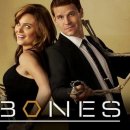 (주)드림월드플러스 이미지