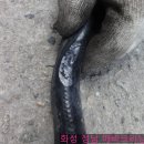 화성 정남 믿음 타이어 정비 후기입니다
