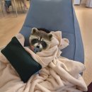 포레스트빌딩 | [내돈내산] 메리스포레스트 마포창전숲점, 프라이빗 키즈풀 오전 대관 후기👙🤿