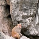 하롱베이 | 베트남 하노이 여행 하롱베이 크루즈 투어 후기 근교 자유여행 추천