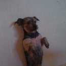 우리단비랑 이미지