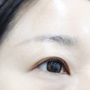 무지개맨션 | 무지개맨션 쿠션 후기｜데일리 메이크업·광채