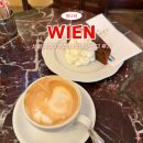 드멜 | 비엔나 3대 카페 내돈내산 비교 후기 | 카페 자허, 드멜 (데멜), 센트럴