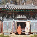 영천 영지사 대웅전 후불탱화 | 영천(永川) 영지사(靈芝寺) 악착보살